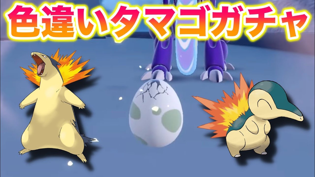 #3 タマゴガチャで色違いバクフーン（ヒノアラシ）を1000個までには出す！【ポケモンSV/スカバイ】