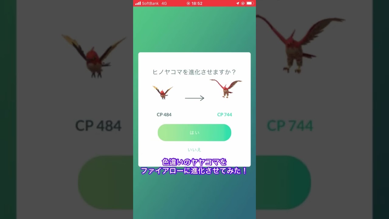 色違いのヤヤコマをファイアローに進化させてみた！　#ポケモンGO #色違い