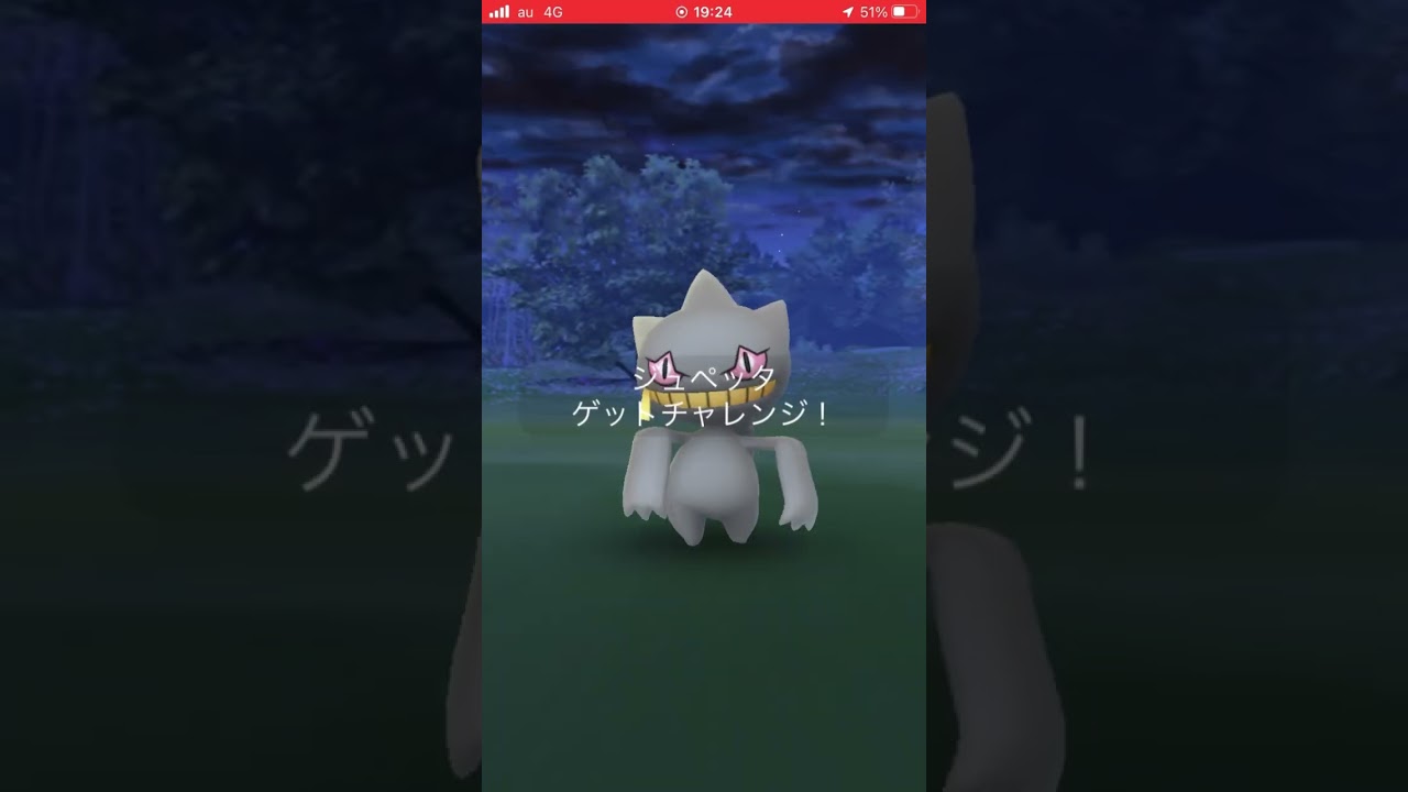 【5人で余裕】メガジュペッタ【レイド】