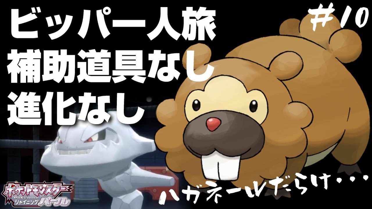 ビッパと旅するポケモンダイパリメイク#10【鋼に悩む豚】