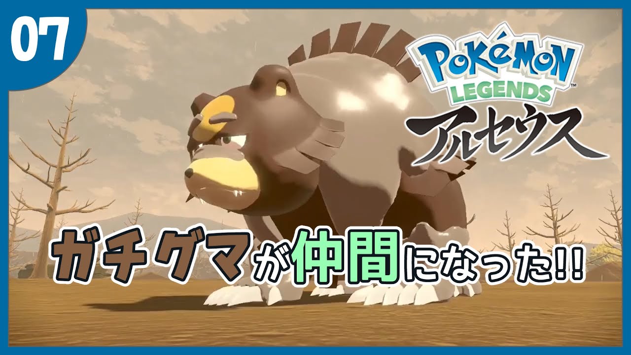 【Pokémon LEGENDS アルセウス】07：ついにきた！！！ヒメグマ！リングマ！ガチグマ！！！！