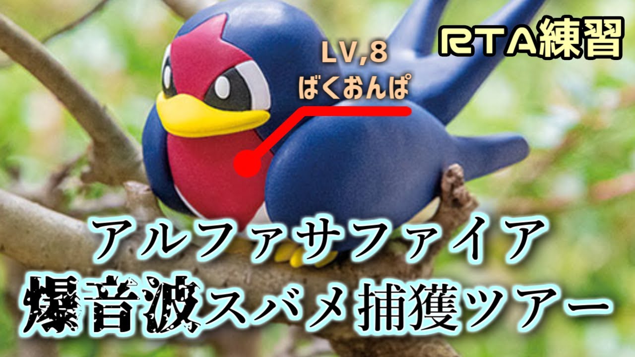 ばくおんぱスバメ捕獲ツアー