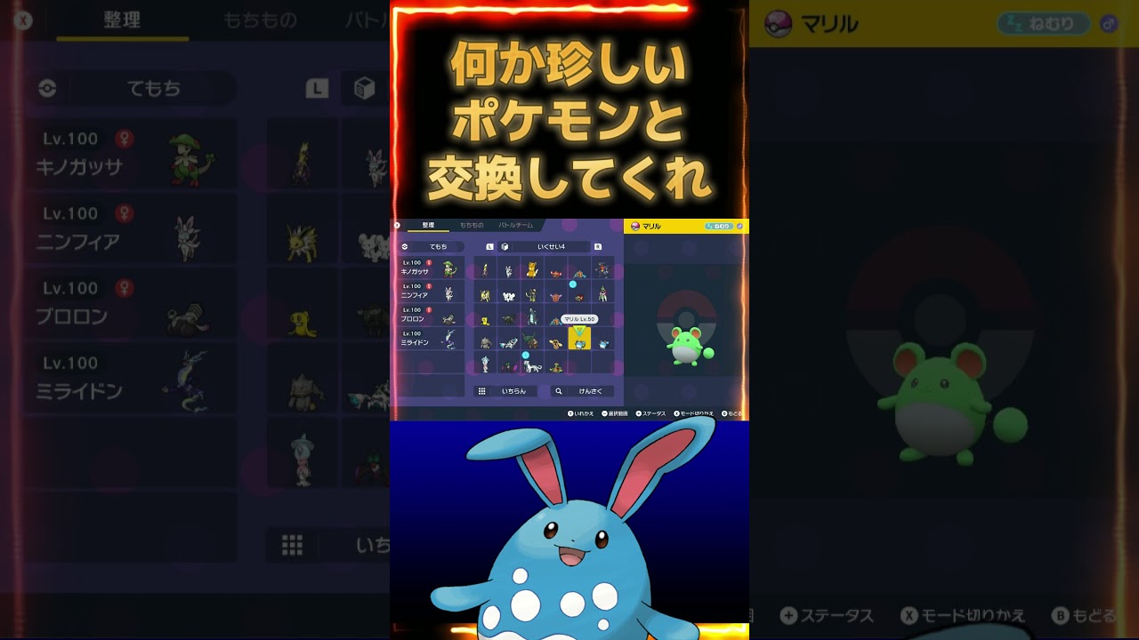 等価交換希望。色違いマリル【ポケモンSV】【ポケットモンスター スカーレット・バイオレット】#shorts