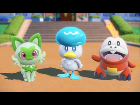 ハピナスレイド
