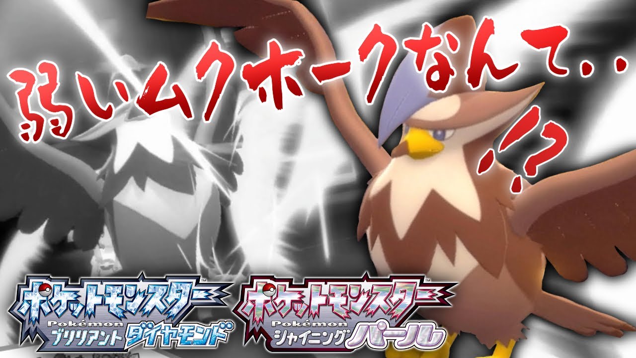 【ポケモンBDSP】色違いのムクホーク、カッコいい～!!