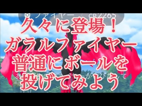 【ポケモンGO】久々に登場！ガラルファイヤー 普通にボールを投げてみよう #shorts