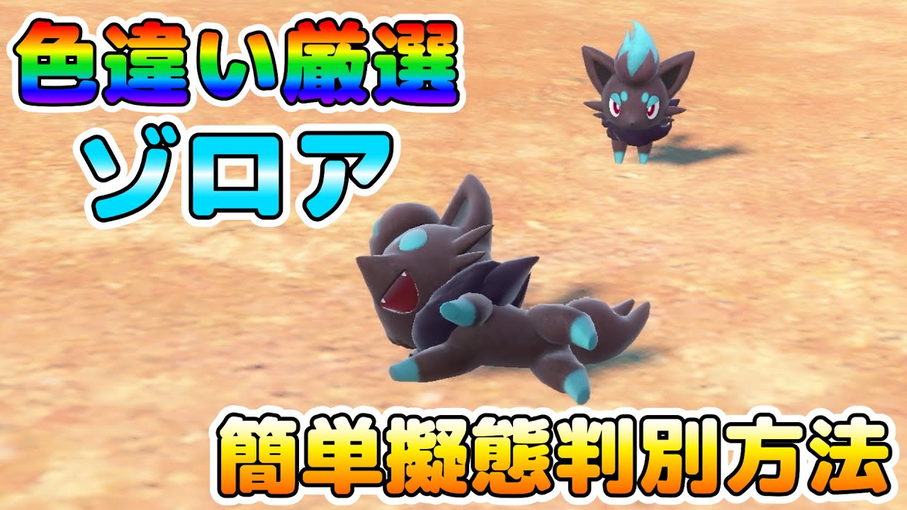 【色厳選】色違いゾロアのオススメ厳選場所！擬態判別は簡単！無心で狩るべし！！【ポケモンSV】