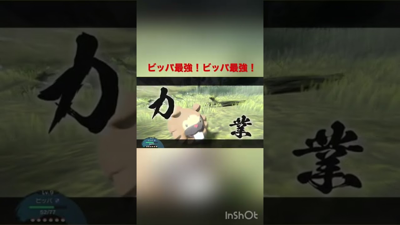 【ポケモンアルセウス】ビッパ縛りをやろうと決めた瞬間
