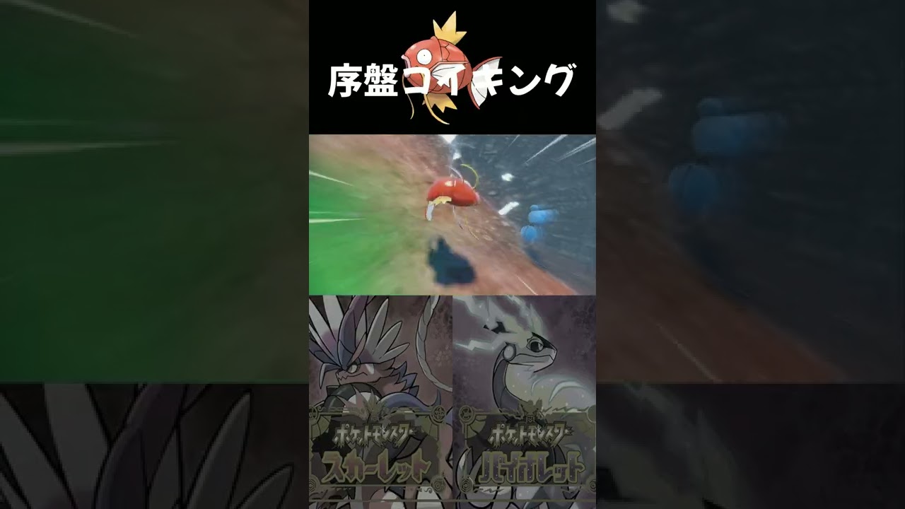 序盤でコイキングを簡単にゲットした場所【ポケモンSV】