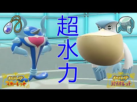 【ポケモンSV】イルカマンとペリッパーで雨下の打ち分けられる高火力水技