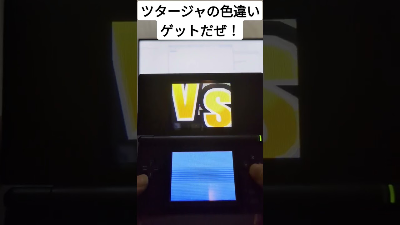 ツタージャの色違い来た！ #ポケモン #色違い #ポケモンBW