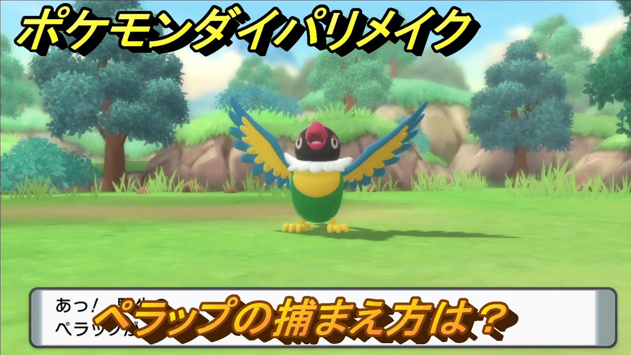 ポケモンダイパリメイク　ペラップの捕まえ方は？出現場所は？　最新版【ブリリアントダイヤモンド・シャイニングパール】