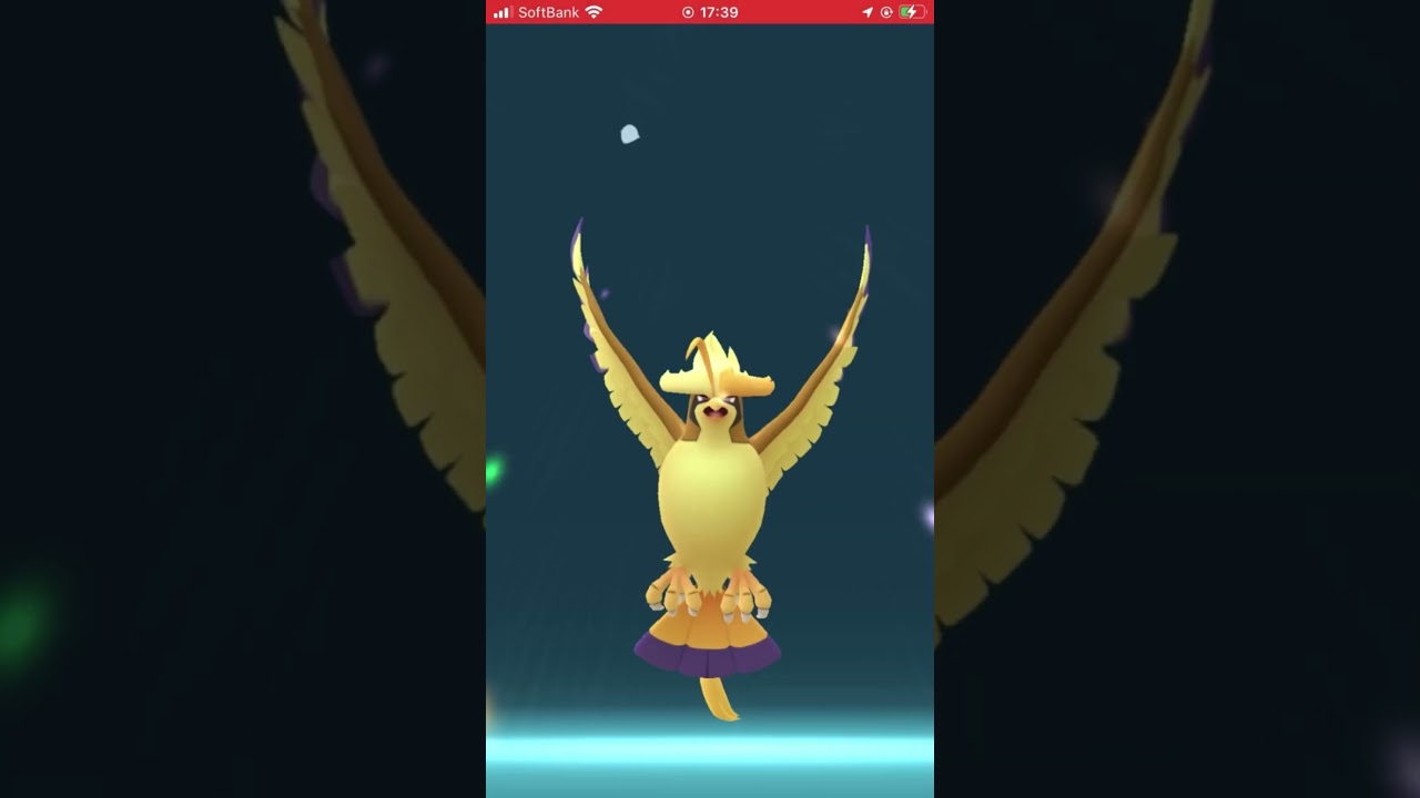 色違いのピジョットをメガ進化させてみた！ #ポケモンgo #pokmongo #色違い #メガ進化 #shorts