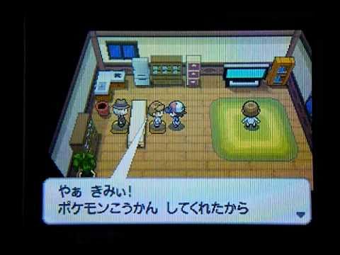 ポケモンブラック　サザナミタウン　チラチーノ交換したらこうなったｗ
