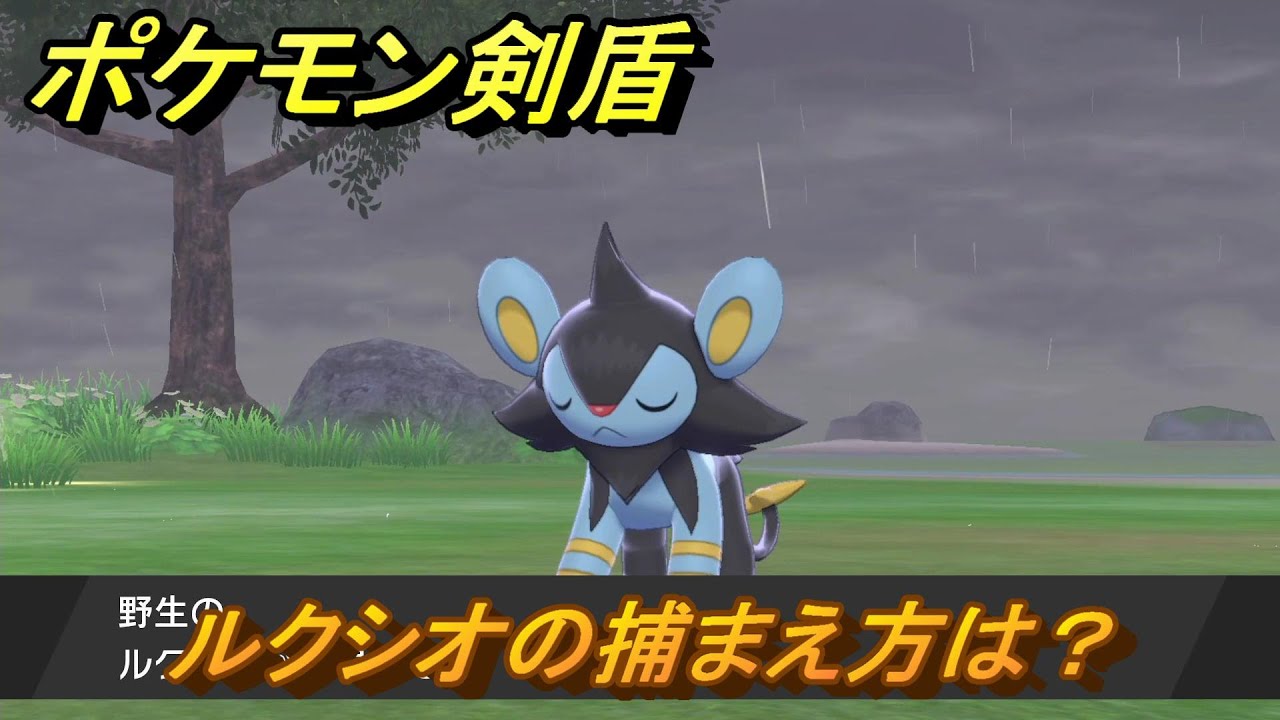 ポケモン剣盾　ルクシオを捕まえる方法！オススメの場所は？天気は？ポケモン図鑑コンプへの道！　最新版【ポケモンソード・シールド】