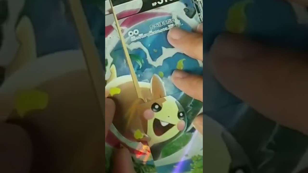 モルペコはピカチュウの出来損ないだった！？