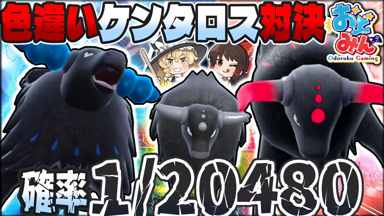 【激レア】出会った色違いのみでバトルせよ!-ケンタロス ブレイズ/ウォーター種どっちが早く色違い出るの?-【ポケモンSV】【ゆっくり実況】