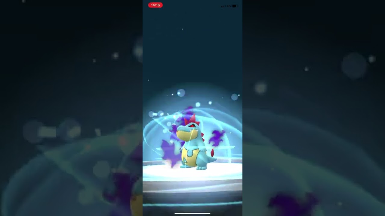ポケモンgo シャドウアリゲイツゲットチャレンジ　シャドウオーダイルに進化させてみた