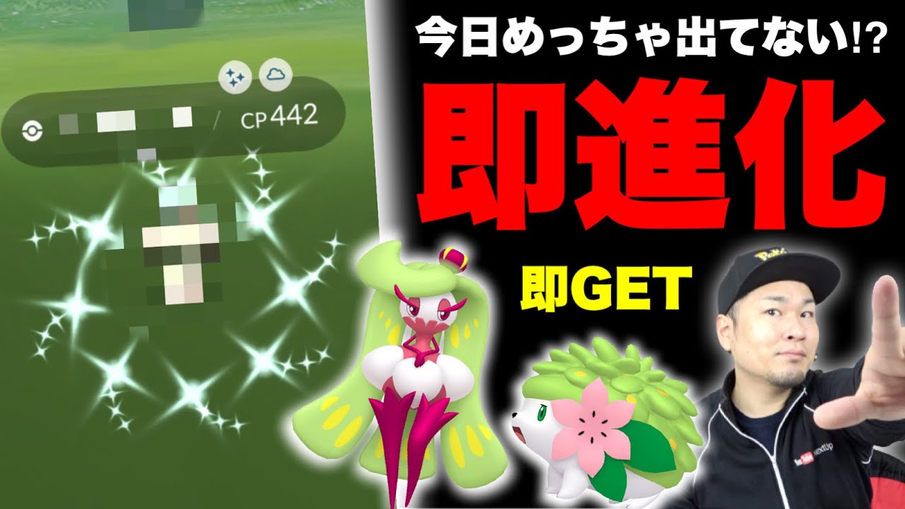 出現率変わった？アマカジ大量GETとシェイミとまさかの色違い【ポケモンGO】