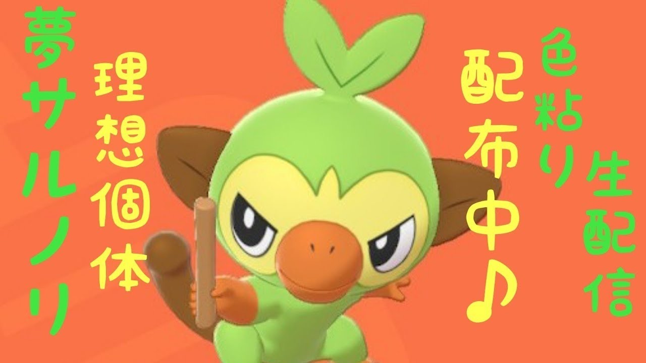 【ポケモン剣盾】しんりょくに負けズ、夢サルノリの国際孵化【夢サルノリ、夢ヒバニー配布中】【国際孵化】