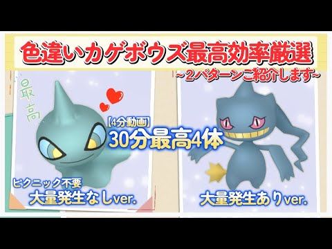 色違いカゲボウズ最高効率厳選＆ジュペッタ #ポケモンsv #大量発生不要 #ピクニック無し #最高効率 #カゲボウズ #ジュペッタ