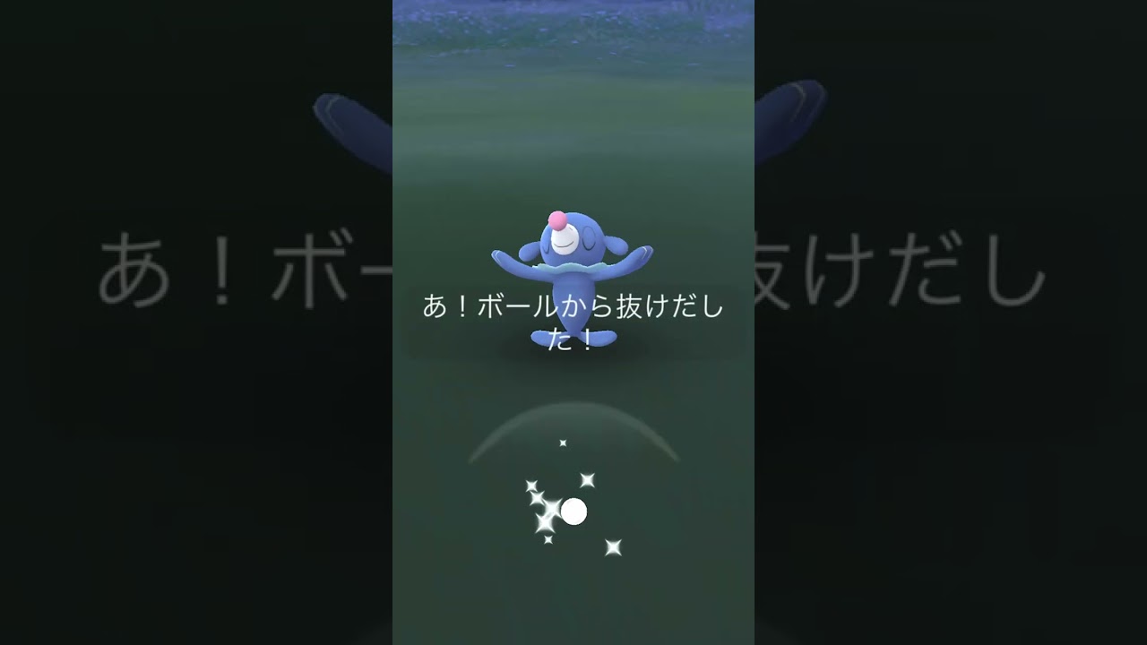 【ポケモン】　アシマリのドヤ顔　【コタ　ゲームチャンネル　#shorts３２】　#shorts
