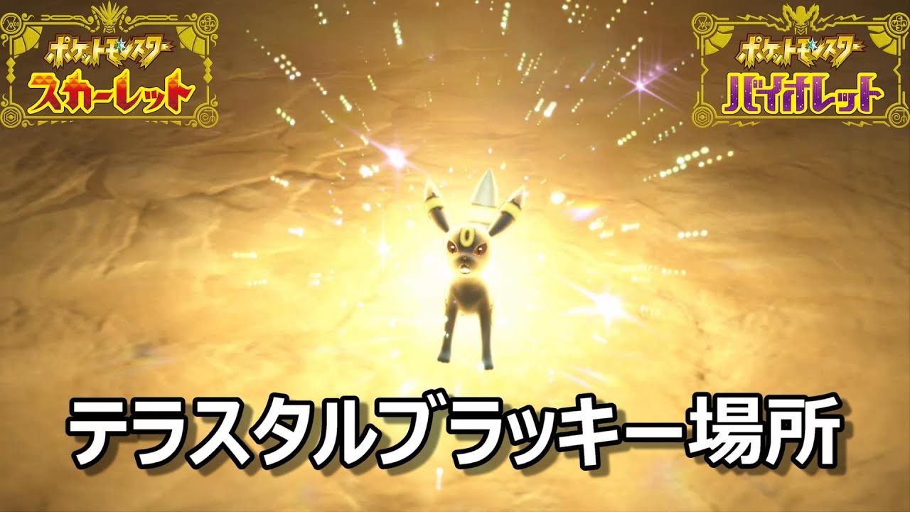 【ポケモンSV】テラスタルブラッキー場所　野生テラスタル＃２６【スカーレット・バイオレット】