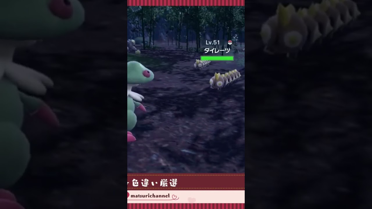 ポケモンSV 色違い出現集 色違いタイレーツ二体同時