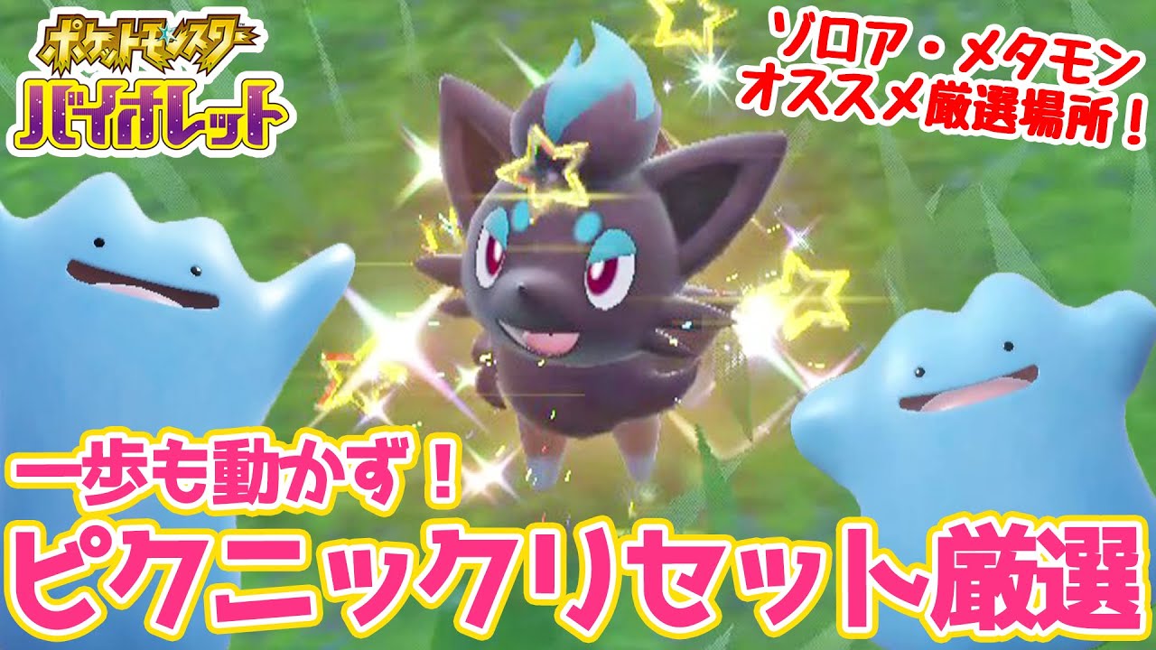 ゾロア・メタモンだって一歩も動かずピクニックリセット色厳選できまっせ！！【SV色厳選】【ポケモンSV】【ゆっくり実況】