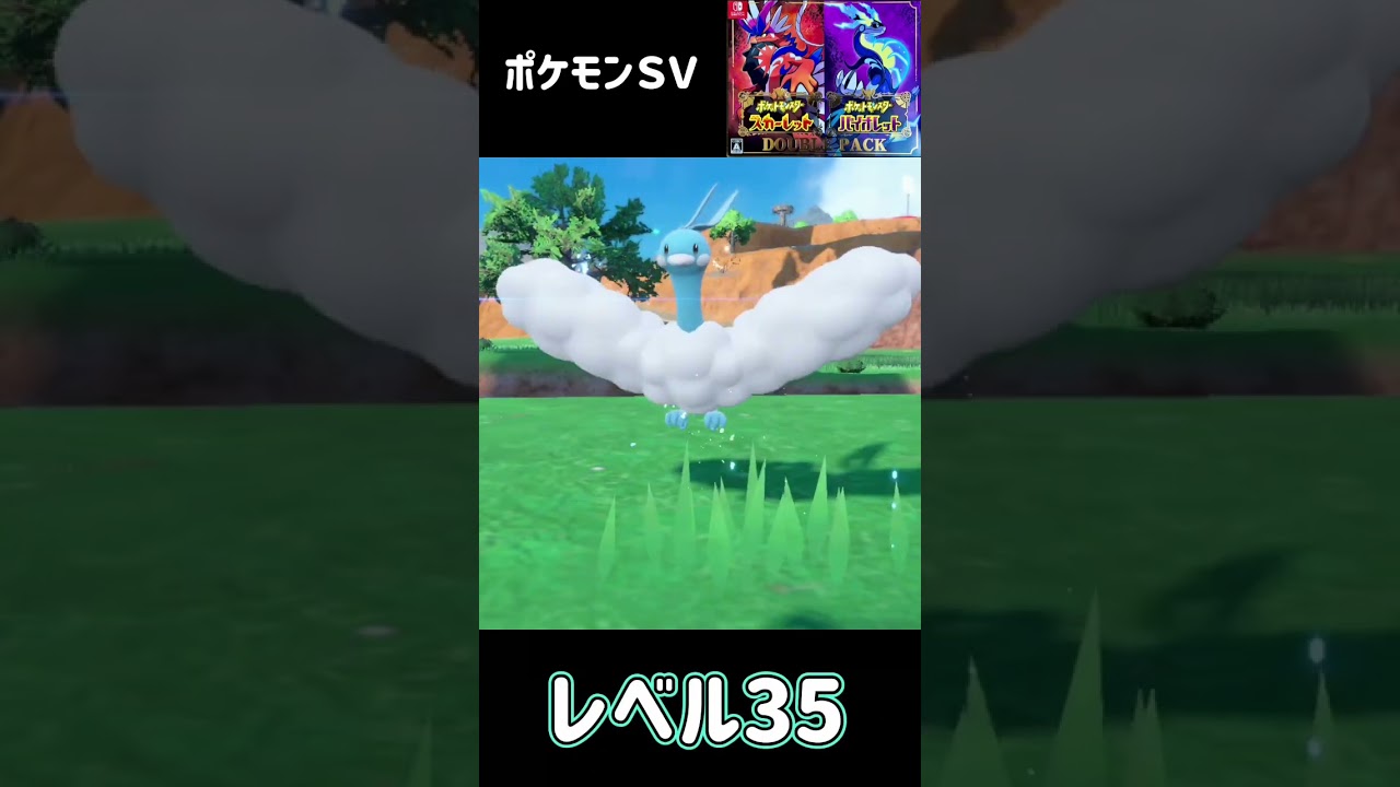 チルット進化　チルタリス　ポケモンSV #pokemon
