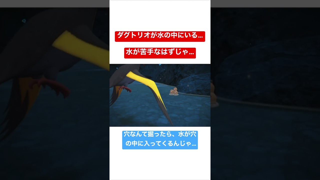 ダグトリオの受難。地面タイプなのに水中生活…【ポケモンSV】【エリアゼロ】【ダクトリオ？ダグドリオ？】