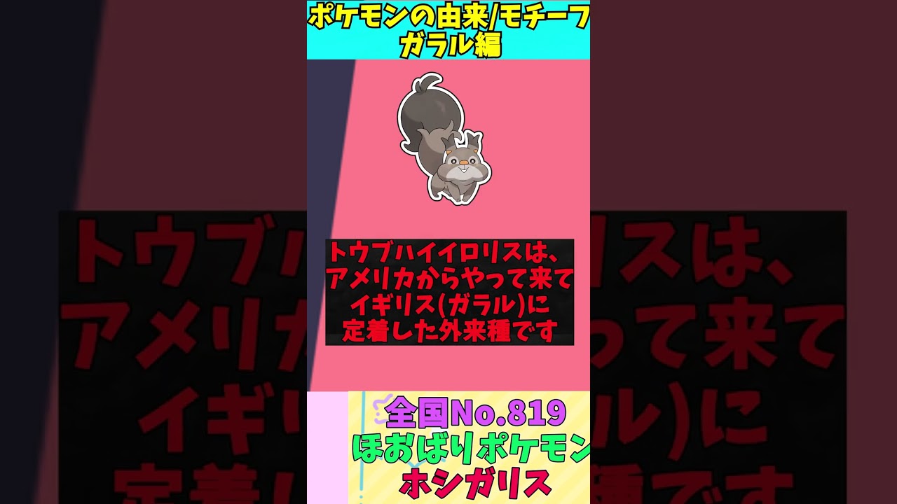 【図鑑No.819  ホシガリス】ポケモン名前の由来&モチーフをゆっくり解説 【ガラル地方】【第8世代】【剣盾】 #shorts