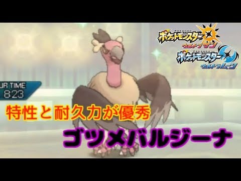 タフ自慢バルジーナ【ポケモンUSUM】【シングルレ－ト】