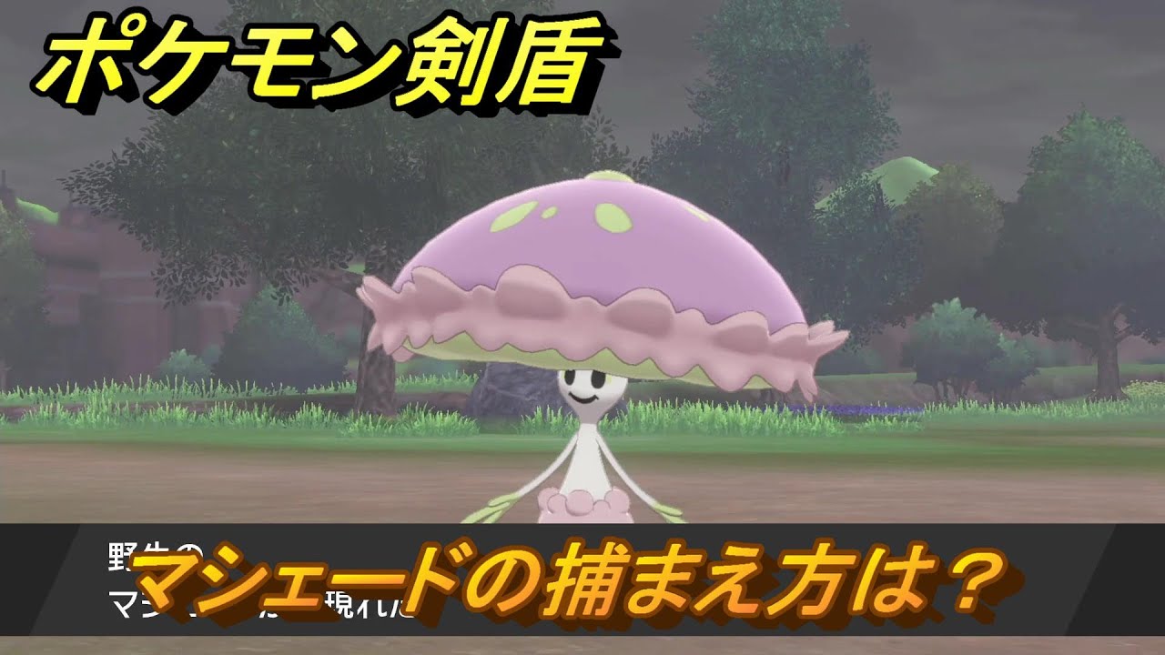 ポケモン剣盾　マシェードの出現場所は？オススメの場所は？天気は？ポケモン図鑑コンプへの道！　最新版【ポケモンソード・シールド】