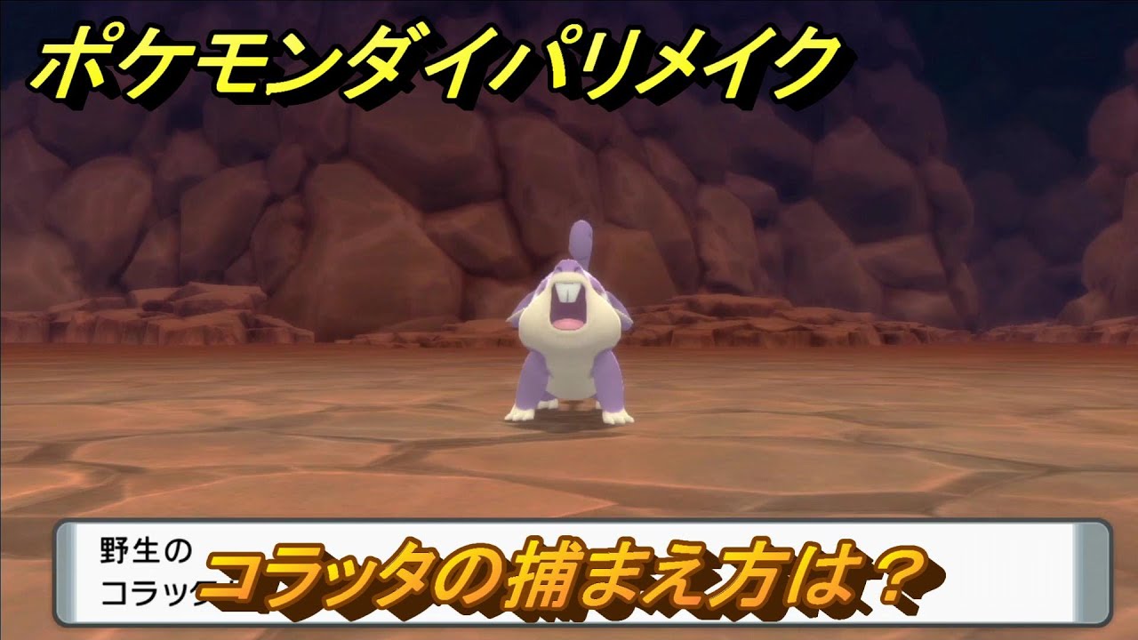 ポケモンダイパリメイク　コラッタの捕まえ方は？出現場所は？　最新版【ブリリアントダイヤモンド・シャイニングパール】