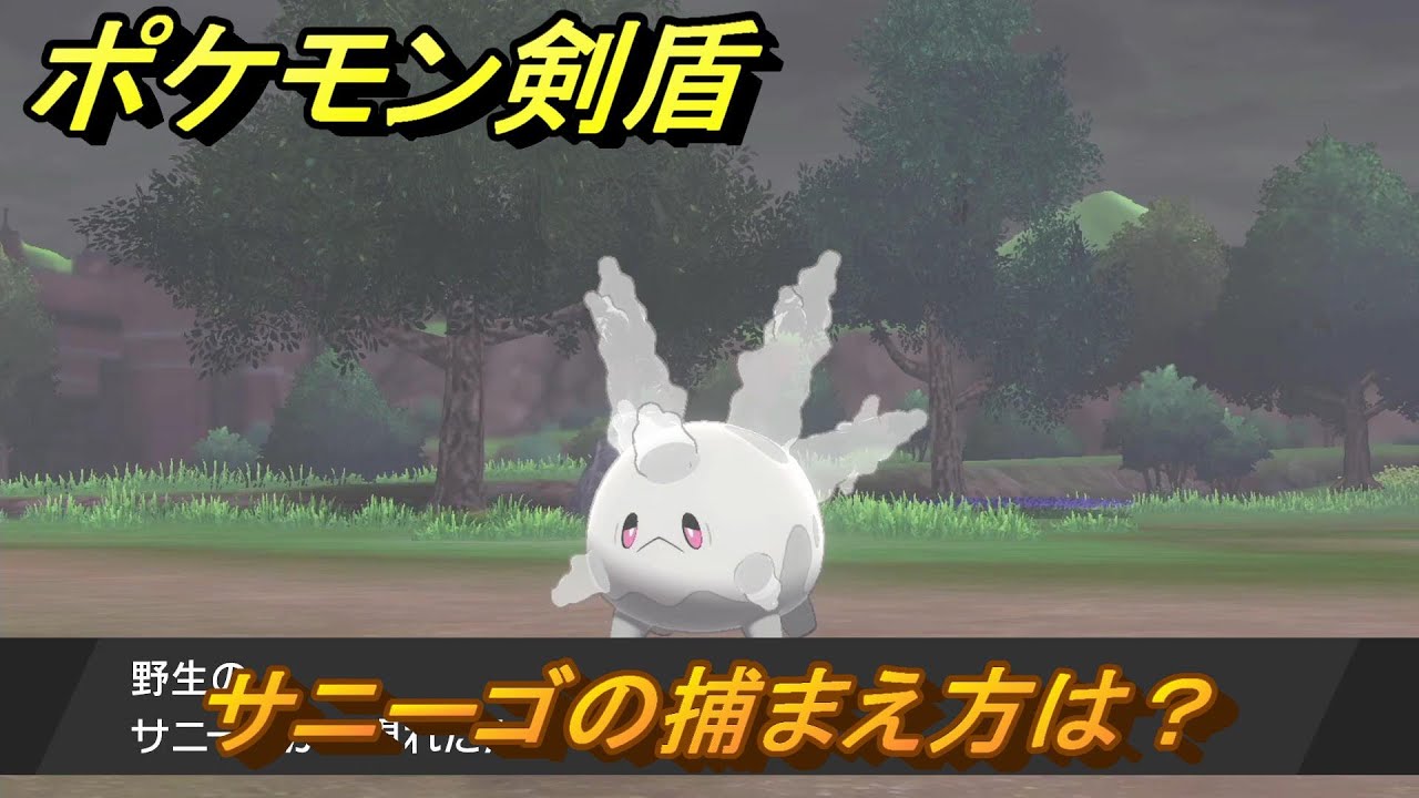 ポケモン剣盾　サニーゴの出現場所は？オススメの場所は？天気は？ポケモン図鑑コンプへの道！　最新版【ポケモンソード・シールド】