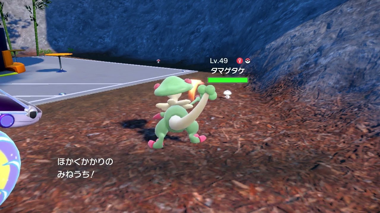 色違いタマゲタケ遭遇シーン　その1