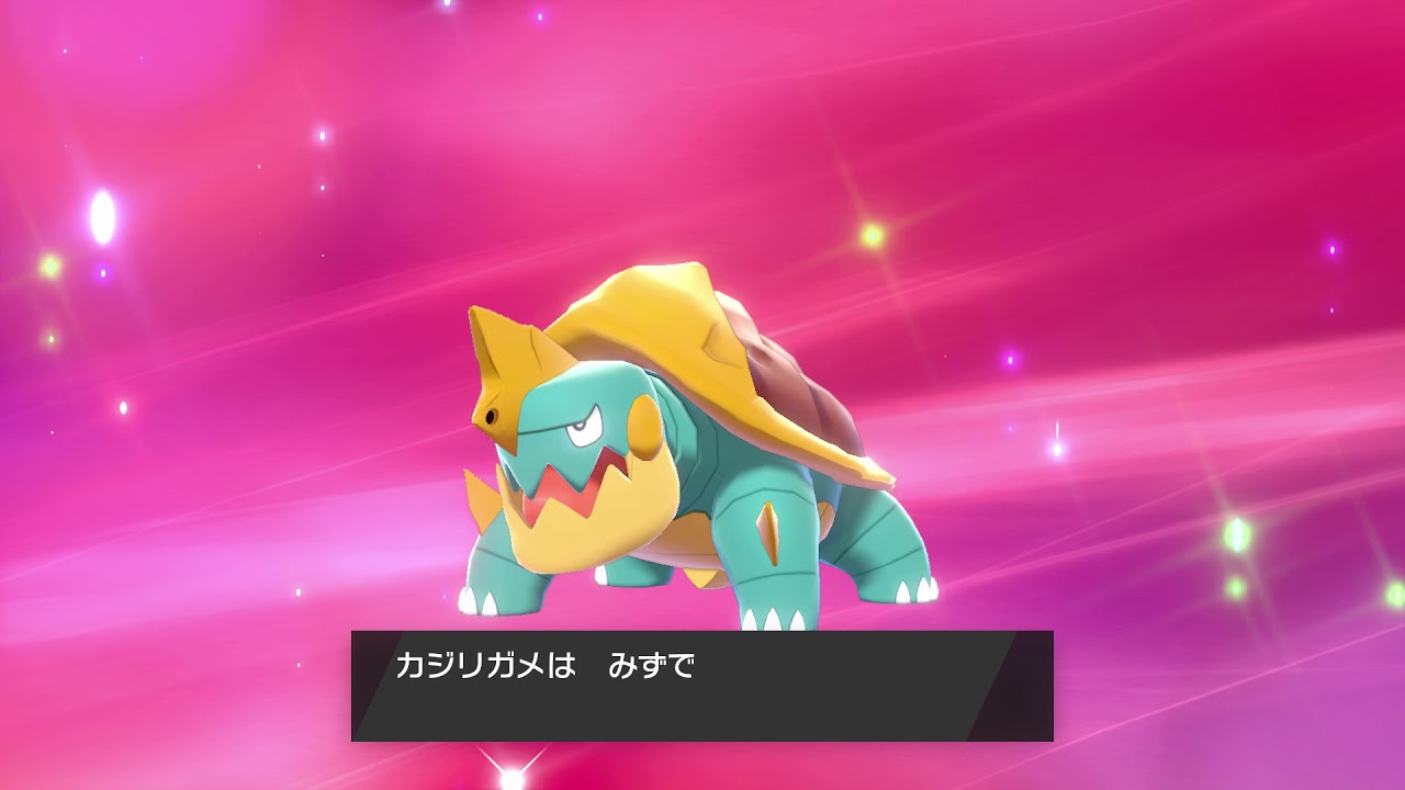 カムカメが進化します。カジリガメへ！