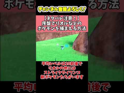 【ネタバレ注意！】序盤でリオルなどのポケモンを捕まえる方法　#Shorts   【ポケモン実況】【ポケモン】【ポケットモンスター】【ショート動画】【ポケモンSV】