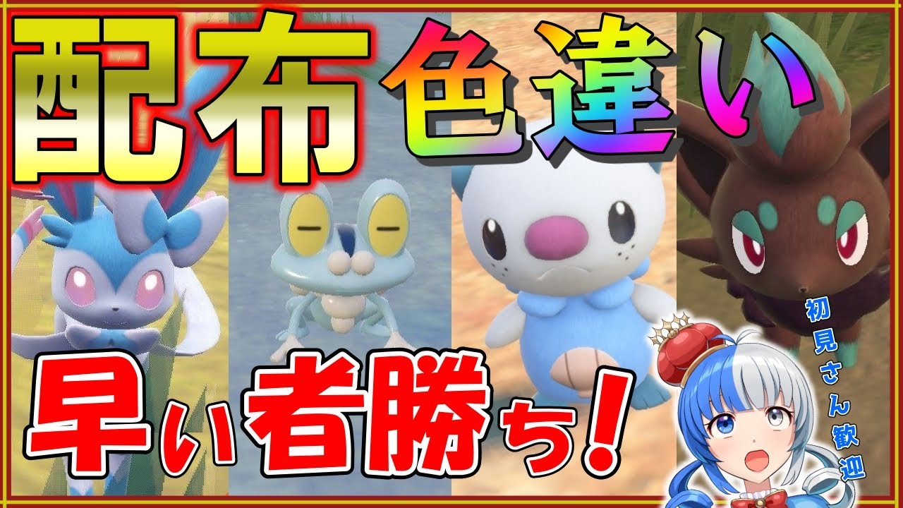 【ポケモンSV】色違い大量プレゼント！色ミジュマル限定３体！早い者勝ちで配布します！【#ポケモン配布 #ポケモン交換 】
