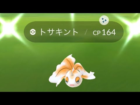【ポケモンGO】トサキント色違いをゲットした瞬間 #shorts