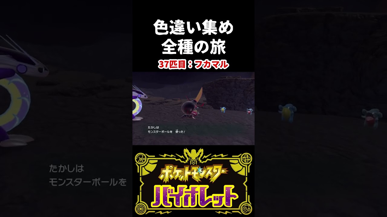 【色違い集めの旅】フカマル編【ポケモンSV】