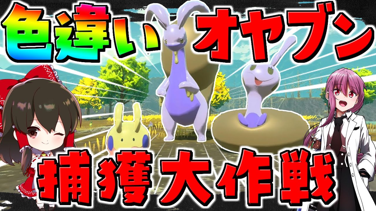 【レジェンズアルセウス 】オヤブン色違いヌメルゴン捕まえるために本気出します・・・【ゆっくり実況/Pokémon LEGENDS アルセウス】