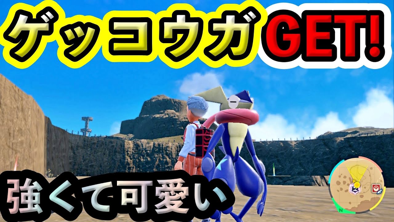 【ポケモンSV】ゲッコウガをソロで倒してゲット！可愛い顔しておそろしく強かった...