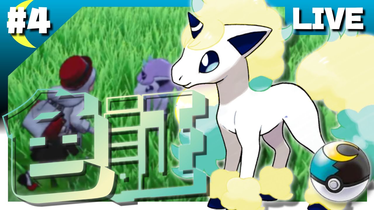 【ポケモン剣盾】ムンボ入り色証♀ガラルポニータを求めて＃4【概要必読】