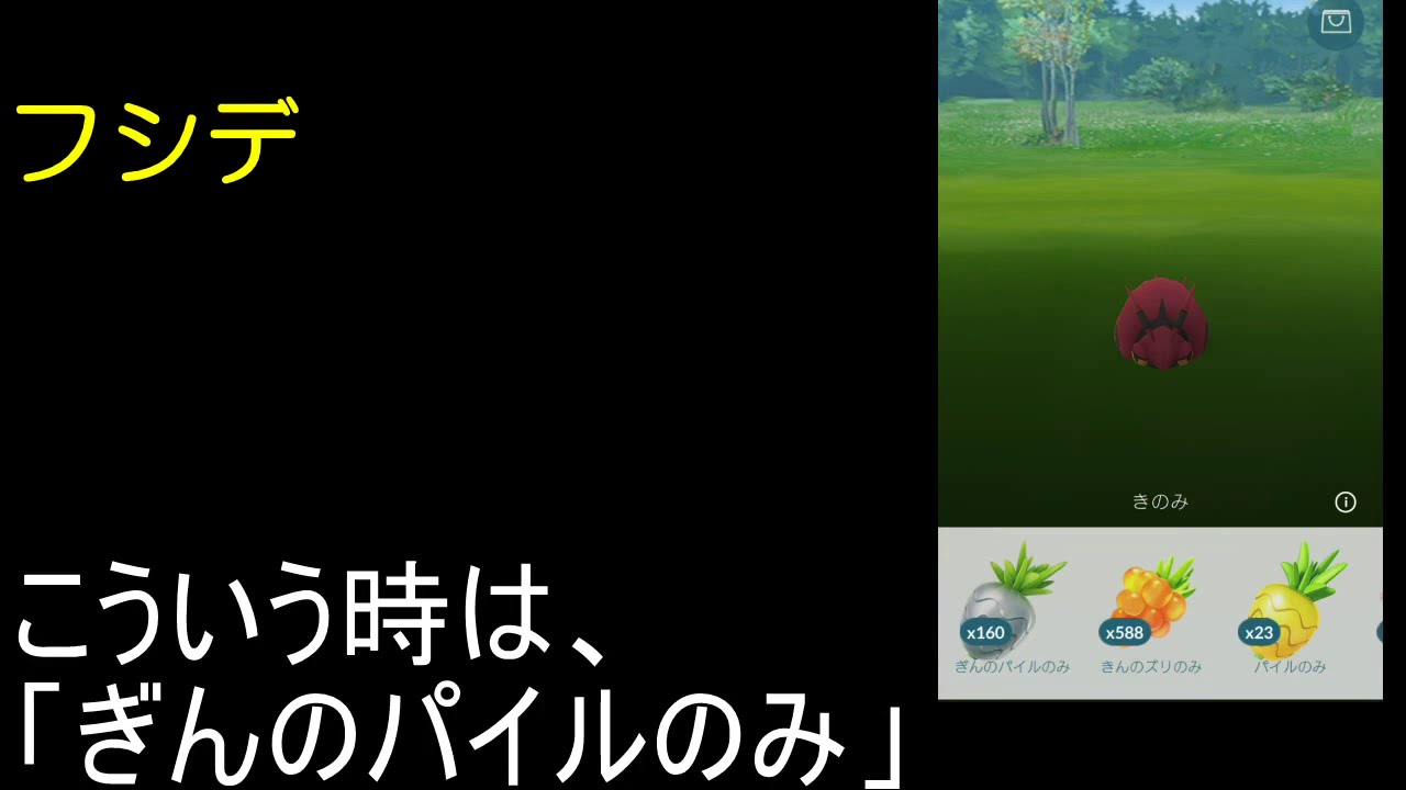 フシデ・・・ダンゴムシからオーム？【ポケモンGO】