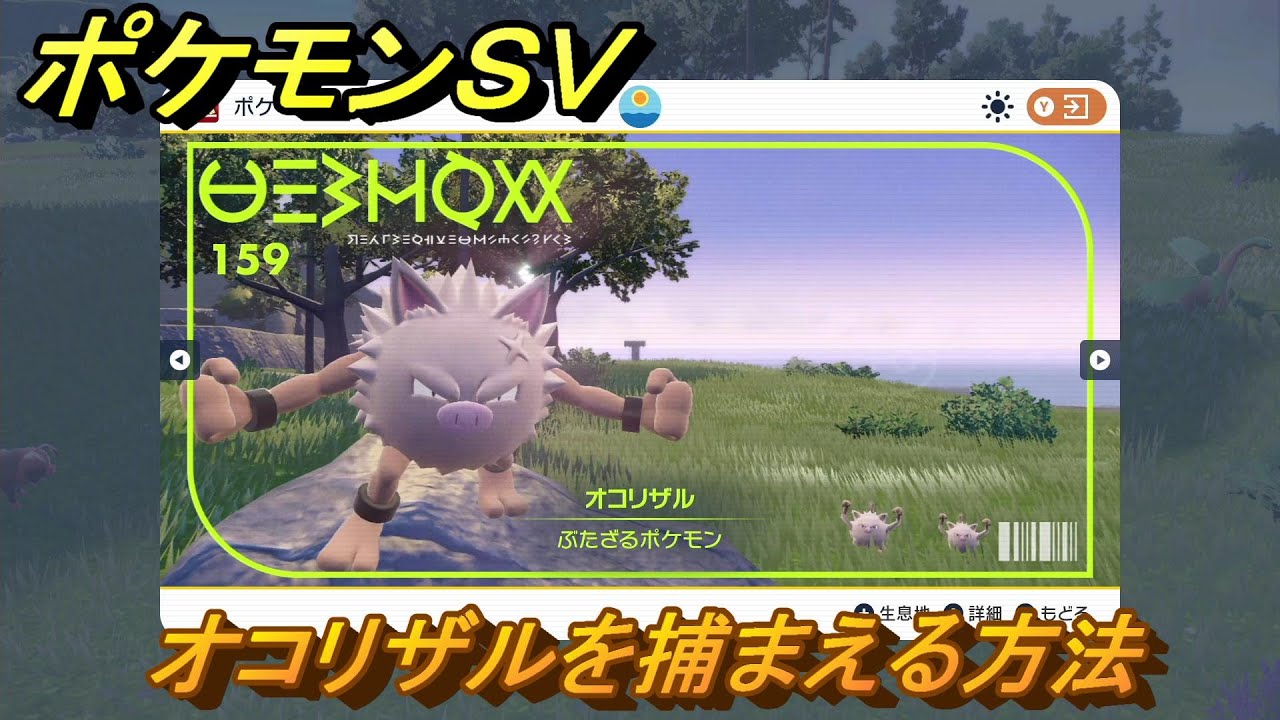 ポケモンＳＶ　オコリザルを捕まえる方法！出現場所は？図鑑No.１５９　ポケモン図鑑を埋めよう！　【スカーレット・バイオレット】