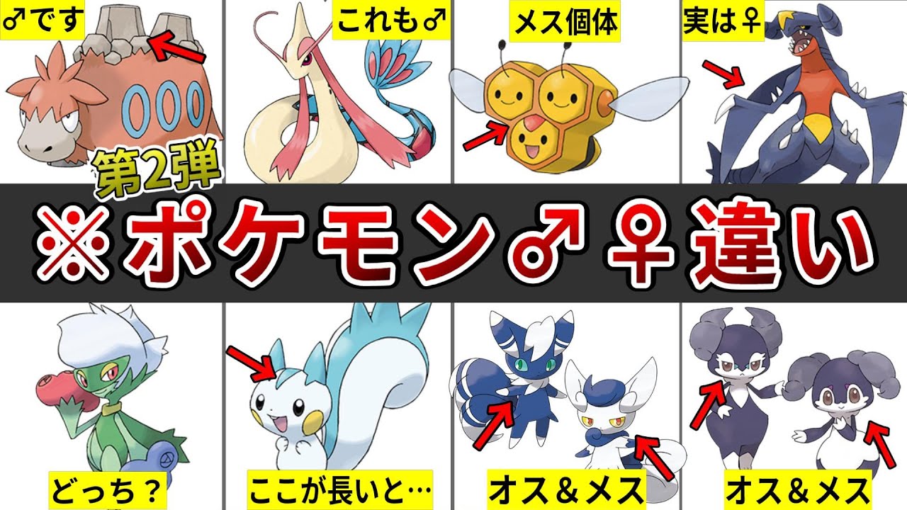 全部で102匹！？意外と知らないオスメスで違いのあるポケモン全102種まとめ【後編】
