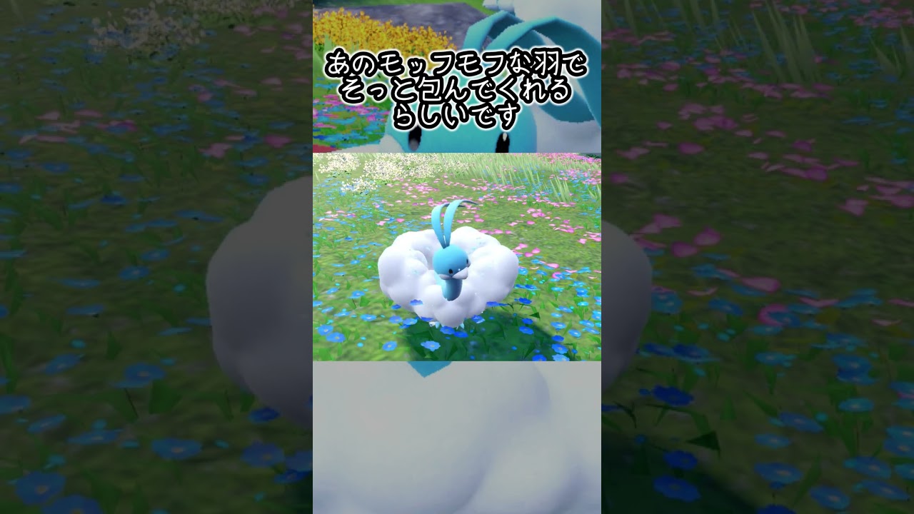 【疲れた人向け】チルタリス6匹とピクニック【ポケモンSV】#Shorts