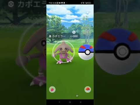 ポケモンGO カポエラー　色違い！！　Pokémon GO